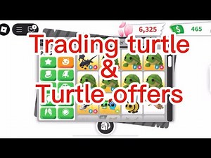 Trading turtles in adopt me and turtle offers