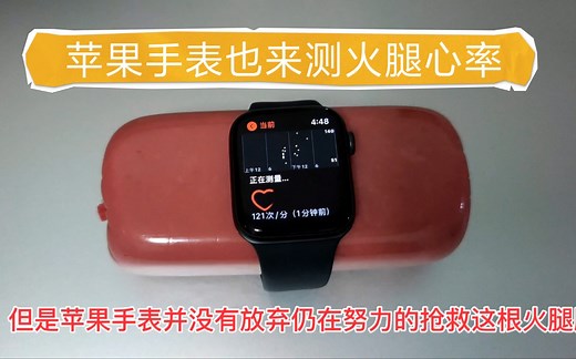 上一期用华为手表测了火腿的心率，这次来测测苹果手表的，你有什么想说的