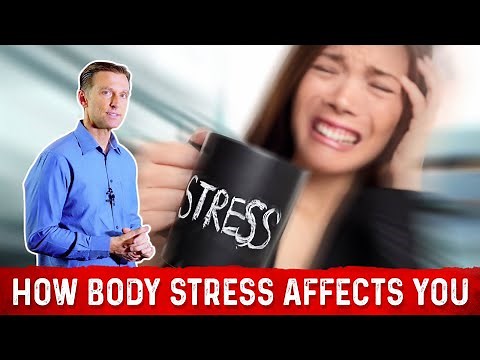 Stressors | Causes of Stress & How it affects your body – Dr. Berg