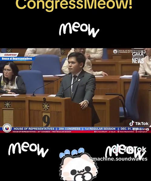 CongressMeow: Celebrate with Machine SoundWaves