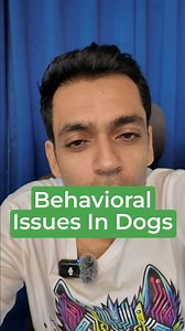 75K views · 964 reactions | Is your dog showing aggression or behavioral issues? The first step is to create a proper structure for their day. Ensure regular long walks, playtime, and scheduled meals. Many behavior problems arise due to a lack of walks and exercise. By establishing a routine, you help your dog stay calm and balanced. Structure their walk, play, and feeding times, and watch those issues start to resolve! | Oh My Dog | Facebook