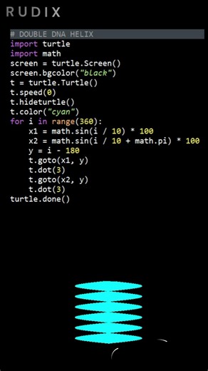 DOUBLE DNA HELIX Using Python Turtle