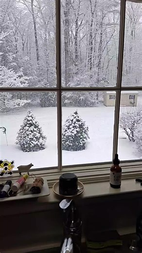 beautiful outside, love my veiw