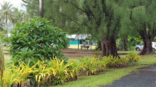 2.8K views · 65 reactions | CITV Local News - Friday 16th February 2024 Titikaveka welcomes a new principal this year Raewynn Morgan, here she is to share her thoughts so far. | Cook Islands Television News | Facebook