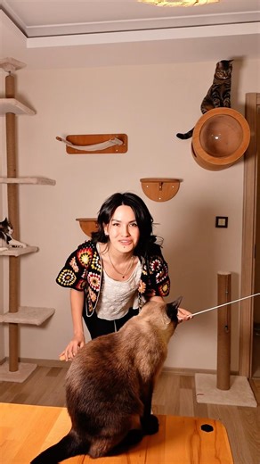 Cat Accessories for the Home