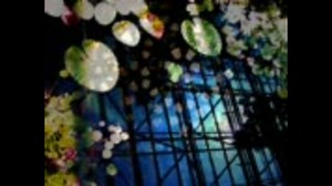 時の回廊のオケと歌詞がかっこよかったので歌ってみた。