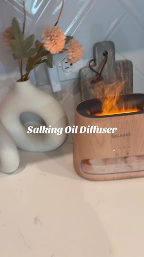 Essential Oil Diffuser and Himalayan Salt Lamp Combo