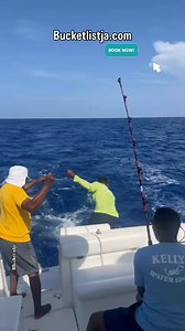 We also offer an unforgettable deep sea fishing experience. @kellyswatersports Contact us today :⬇️⬇️⬇️ 📱 1-876- 226-5191 (Call/Whatsapp/Imessage) 💻 www.Bucketlistja.com ✉️ bucketlistja@gmail.com Confirm your dates with us today!!! #bucketlistja #Bucketlist #traveling #tourlifestyle #travel #explorepage #jamaica #horsebackriding #negril Jamaica #ochorios #montegobay #girlstrip | Bucketlist Jamaica