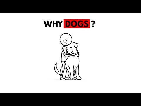 What Loving Dogs Says About Your Personality