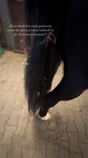 Horse Riding Etiquette: Tail Styles in Lessons