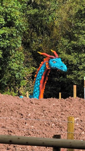 🐄 A few pics from the opening day of Greenmeadow Community Farm | Cwmbran Life