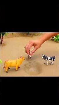 Amazing mini dairy farm | small space setup