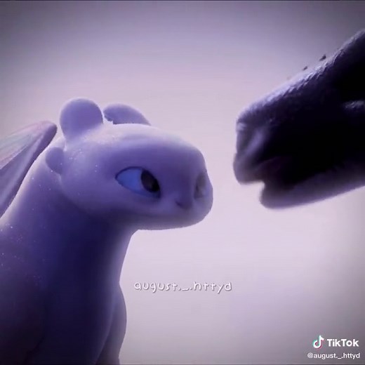 Toothless and Light Fury Flying Together