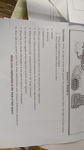 Digestive System QuestionsWhen does ingestion begin?What hap... | Filo