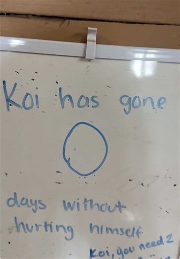 #horsetok #equestrian #horsecore | Horse TikTok