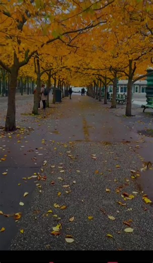 Emotional Reflections on Pain and Connection