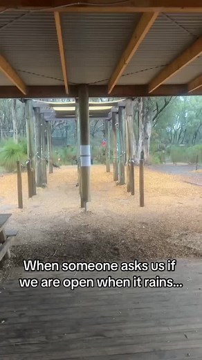 Treetops Adventure: Fun Rainy Day Activities