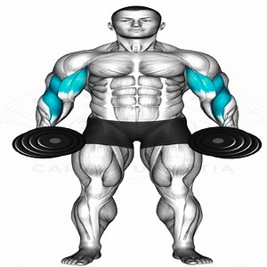 50K views · 2.2K reactions | Dumbbell Duo Biceps & Triceps Focus | Muscle man | Facebook