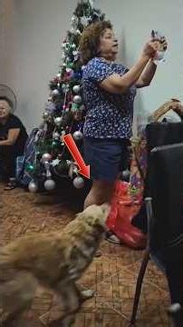 When Animals Become Unexpected Master Thieves #shorts