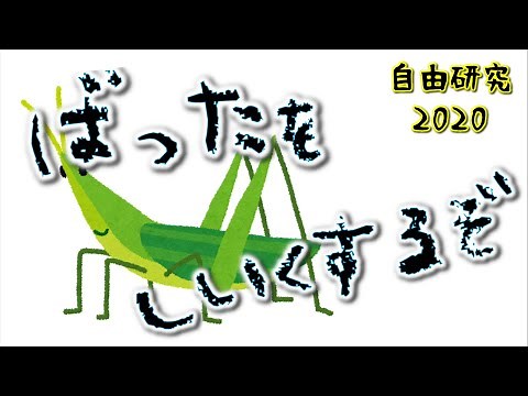 【自由研究】日本最大種のバッタを飼育【ショウリョウバッタ】