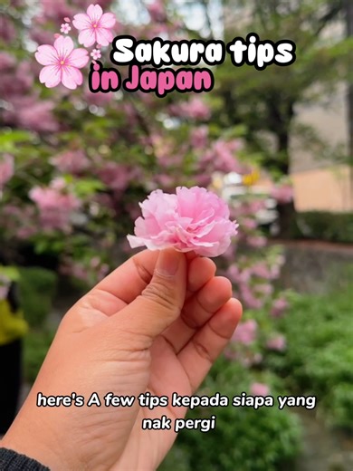 Time to fly to Japan and experience the Sakura flowers! 🌺 You're only missing out if you don't book with Traveloka as we're now having up to 50% OFF when you book your flights. hotels and attractions with us! ✈️🏨🎡 Get it from the link here: https://trv.lk/traveljapan #TravelokaMY #tahudariTraveloka #BestPriceGuarantee #TravelJapan