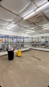 Our staff and animals are still very much enjoying the renovated spaces! Follow our other socials to see more behind the scenes📸 #clevelandohio #adoptdontshop #lakehumane #shelterpets #lakecounty #renovationproject #kennelwarriors #oldtonew | Lake Humane Society