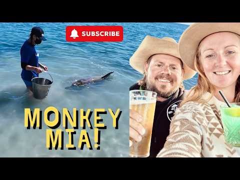 We Saw Dolphins at Monkey Mia | Shell Beach WA EP 39
