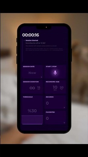Noise Triggered Sound Recorder
