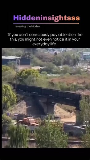 @hiddeninsightsss on Instagram: "The post shares a 54-second video compilation of subtle optical illusions from light and shadows, including caustics on landscapes, illusory motion on escalators, and peripheral drift effects, emphasizing how these go unnoticed without focused attention. These visuals draw on principles like refraction and the brain’s motion perception biases, as in Akiyoshi Kitaoka’s research showing peripheral vision slows apparent speed by up to 30% due to neural filling-in, p