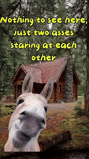 When their is an instant connection between two souls 😂 #funny #complement #alllivesmatters