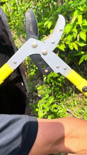 Telescopic Heavy Duty Loppers Cut Thick Branches In One Snip