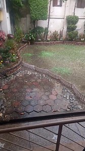 Brief session of hail storm ice pellets in our garden. | Jawed Iqbal Cartoonist