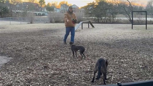 Virginia Beach SPCA shares essential pet protection tips for weekend winter weather