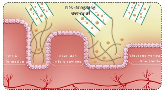 平面皮肤细胞结构加速版