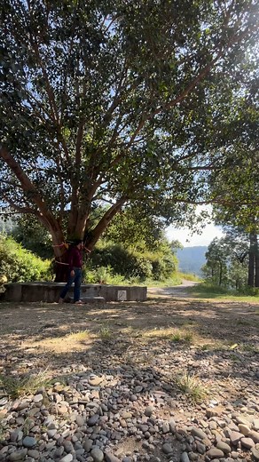 Pankaj Sharma on Reels