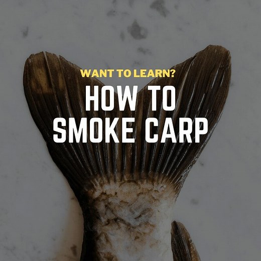 Learn to How to Smoke Carp (It's Surprisingly Easy and Delicious!)