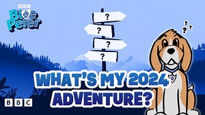 What's your ultimate new year adventure?