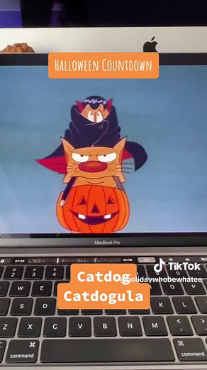 @HolidayWho-BeWhatee! on TikTok