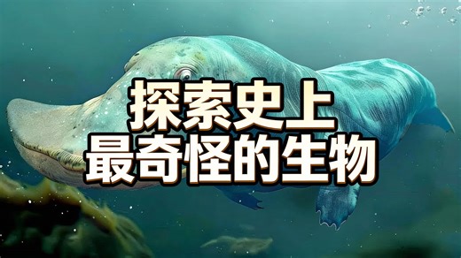 [中配]探索史上最奇怪的生物 - BE AMAZED