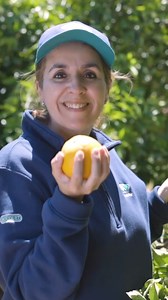 Cultivons la gastronomie durable ! 🍉🍅 Chez Bouquet, cette gastronomie commence dans les champs : 👩‍🌾 Des fruits et légumes cultivés avec passion dans nos coopératives partenaires 🌱 Des pratiques agricoles responsables 🍽️ Une attention portée à chaque étape, du semis à l’assiette Parce qu’une alimentation plus durable, ça se cultive. Et ça se savoure ! 💚🌍 | BOUQUET - Cultivons le futur
