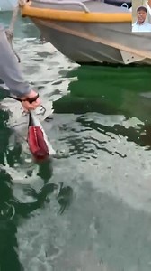 Essa foi por pouco #pesca | Tutorial da Pesca