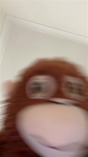 Emotional Moments with Marty the Monkey