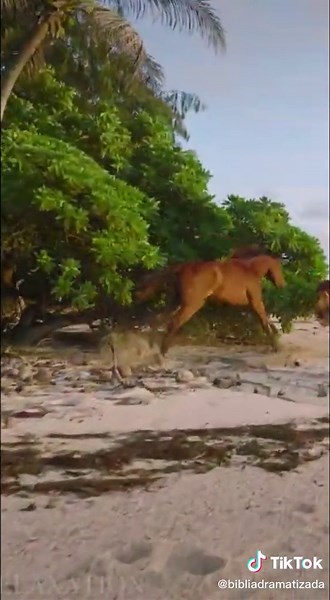 Exodo 33: La Dramatización de Dios y Moisés