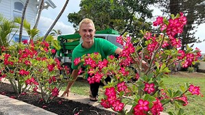 Tour of plants & mother nature - Maui, Hawaii - tropical, rare plant life vlog