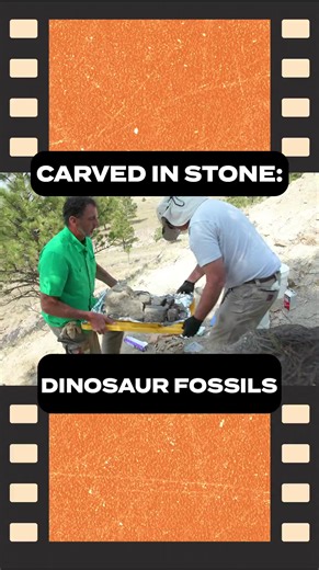 🦴 Join ICR scientists Dr. Clarey and Dr. Thomas as they unearth real dinosaur fossils! ICR's newest DVD, Carved in Stone, is available now: https://store.icr.org/search/carved in stone #ICRDiscovery #archeology #fossils #geology #science | Institute for Creation Research (ICR)