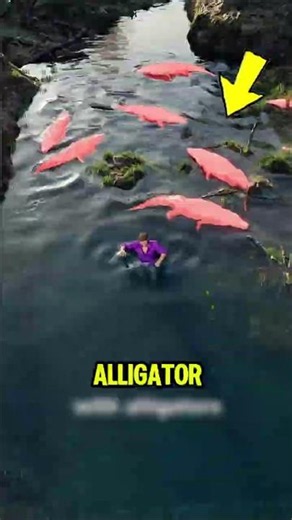 An Alligator Is Right Next to You... Do This! 😳🐊