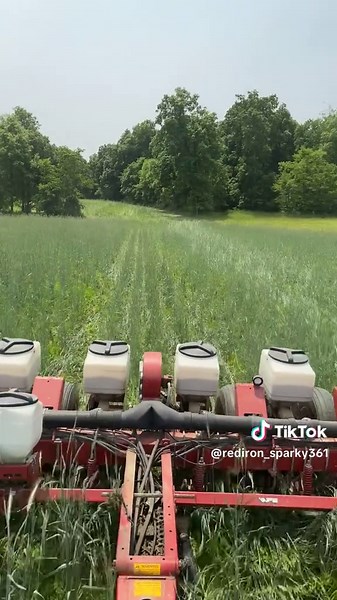 @Angela (Daniel) Pahl #farmtok #trending ###internationalharvester #farmall806 #d361