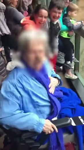 Chimpanzee Throws Poop at Grandma