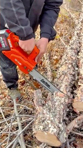 Cutting a Large Tree Log with a Powerful Chainsaw for Firewood Preparation in the Forest