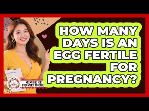 How Many Days Is An Egg Fertile For Pregnancy?